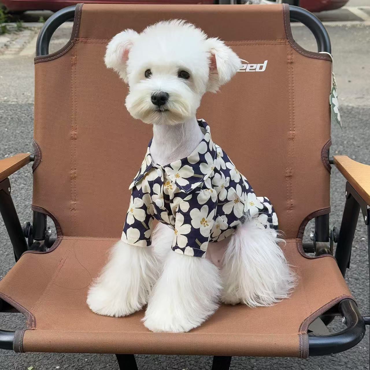T00309 Dog clothes spring and summer pet cotton hooded sweatshirt for going out for small and medium-sized dogs Maltese Teddy Bichon Corgi