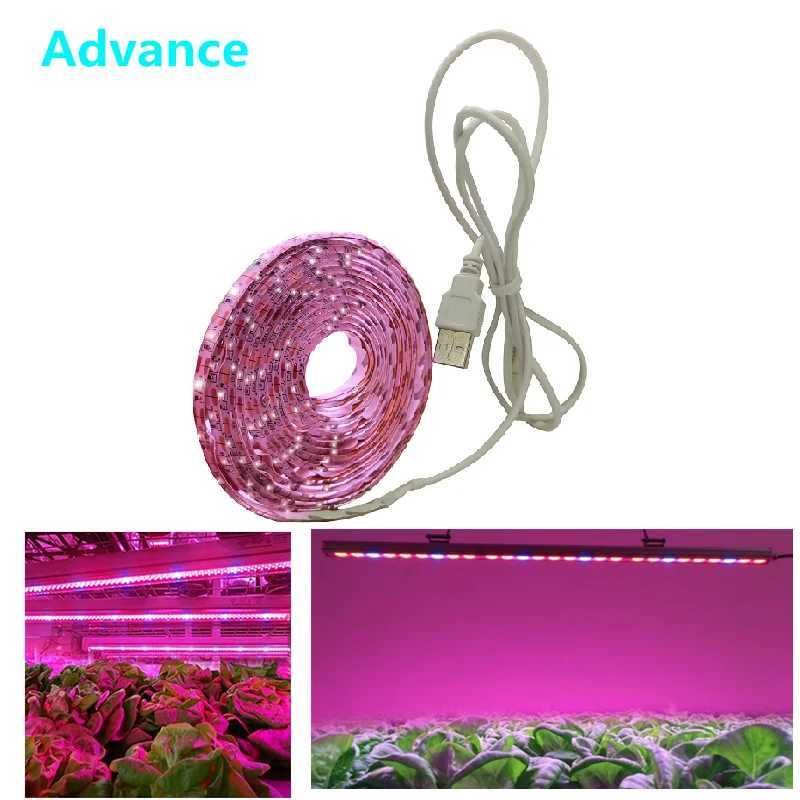 LED Grow Light Full Spectrum USB Grow Light Strip 0.5m 1m 2m 2835 Chip LED Phyto Lamp for Plants Flowers Greenhouse HydroponicXJ250526