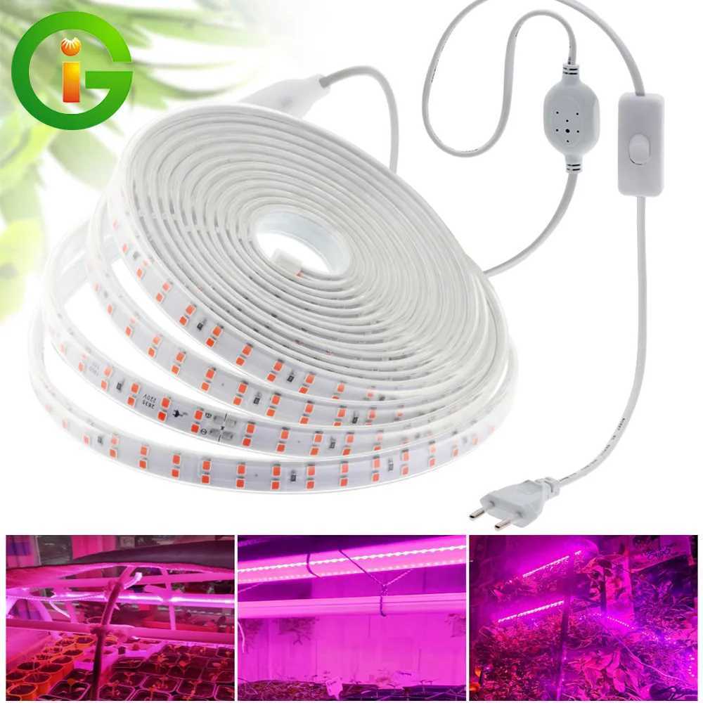 LED Grow Strip Full Spectrum Double Row Lamp Beads LED Grow Light AC220V Phyto Lamp For Plants Flowers Greenhouses HydroponicXJ250526