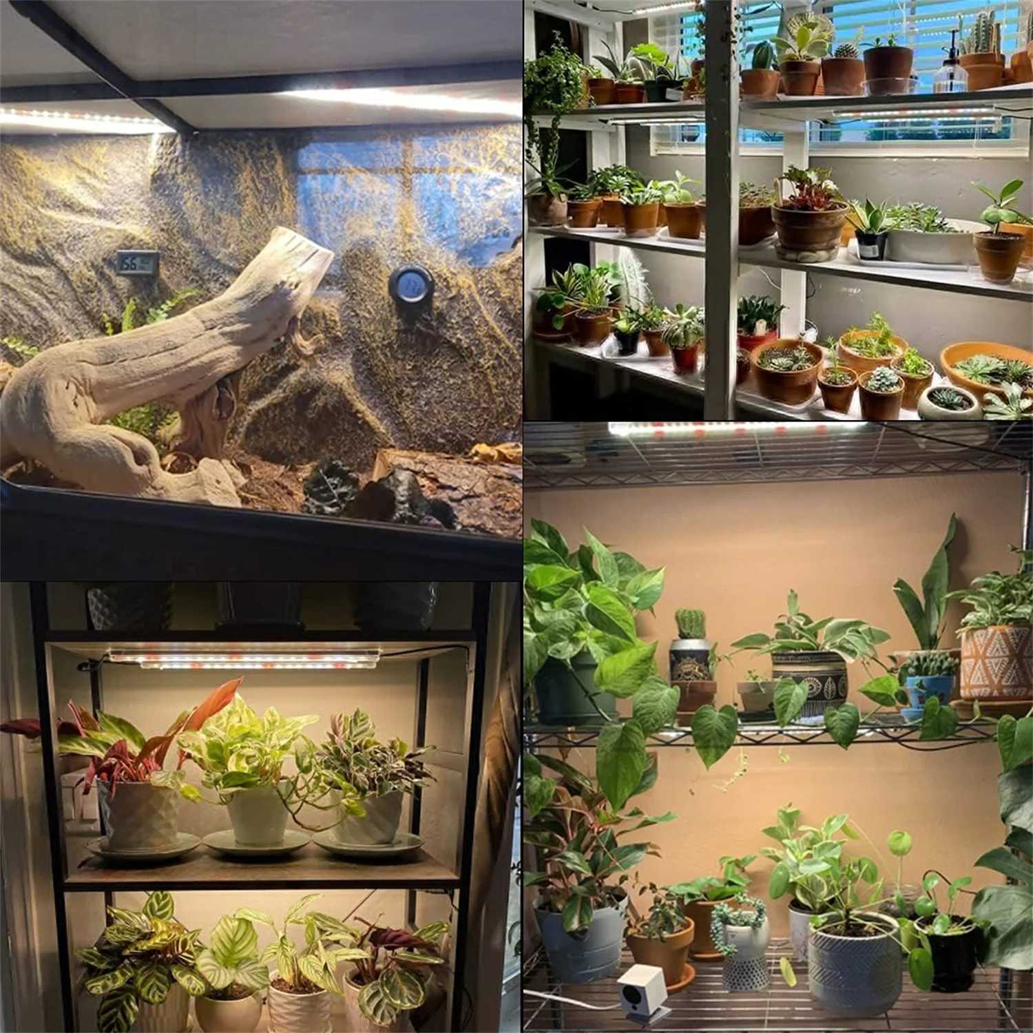 USB 5V LED Grow Light Timed Adjustment 4/8/12 Hours Dimmable Full Spectrum Indoor Hydroponics LED Lamp Growth LightingXJ250526