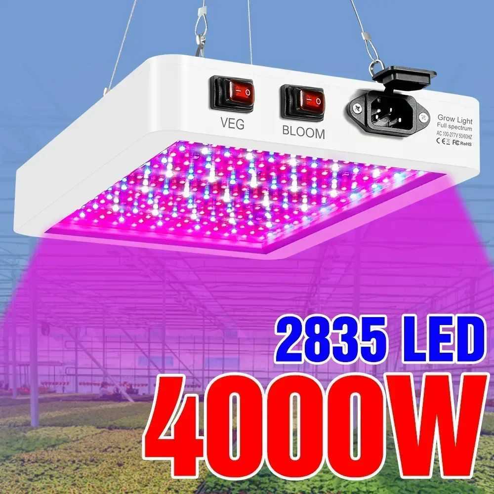 Newest 4000/5000W Full Spectrum LED Growing Light IP65 Plant Bulbs Hydroponic Lamp Greenhouse Lamps Flower Growth Lighting BoxXJ250526