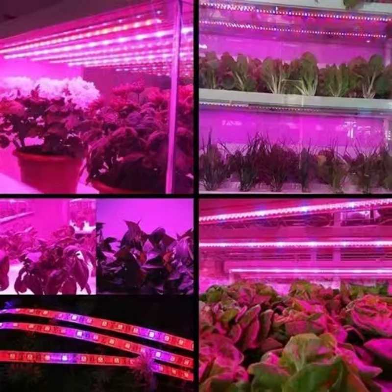 1M/2M/3M LED Plant Grow Light Full Spectrum USB Strip 60 Lamp Beads/M Greenhouse PhytoLamp For Plants Hydroponic Growing SystemXJ250526