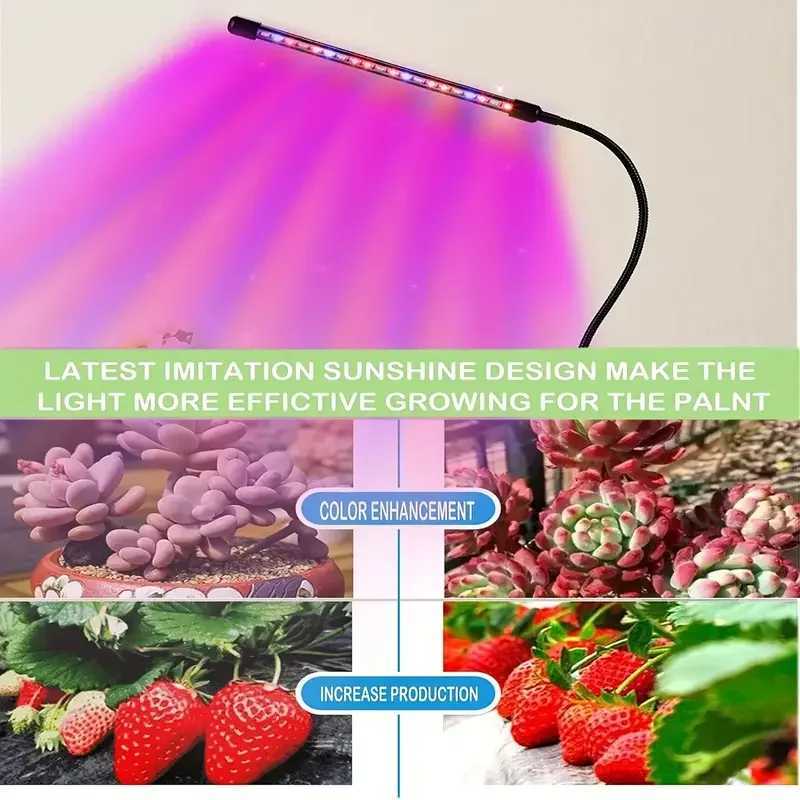 LED Grow Light Full Spectrum Clip-on Plant Light with Red Blue Yellow Bulbs for Indoor Plants Growing Auto On Off Timer 4/8/12HXJ250526