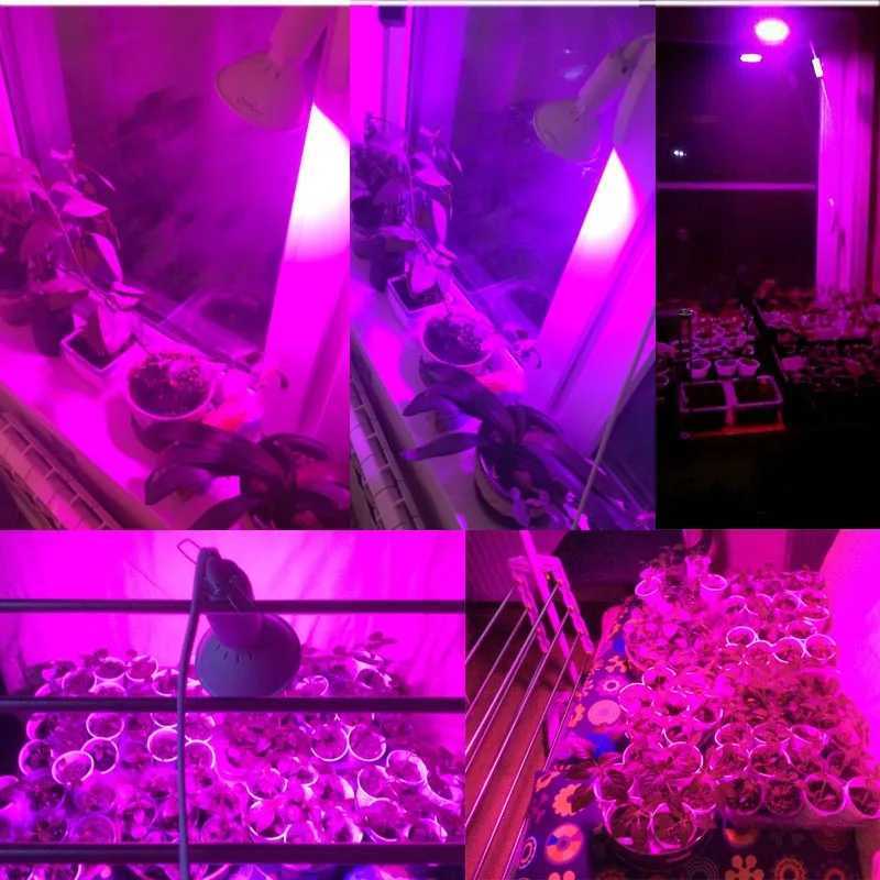 Full Spectrum Plant Grow LED Light Bulbs Lamp Lighting for Vegetables Hydro Flower Greenhouse Indoor Garden E27 Phyto GrowboxXJ250526
