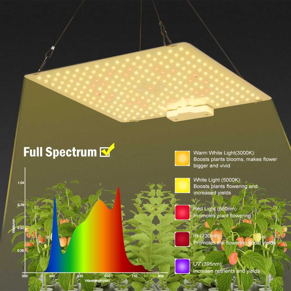 Full spectrum LED growth lamp 65W diode LED daylight quantum growth lamp for greenhouse hydroponic plant growth lightingXJ250526