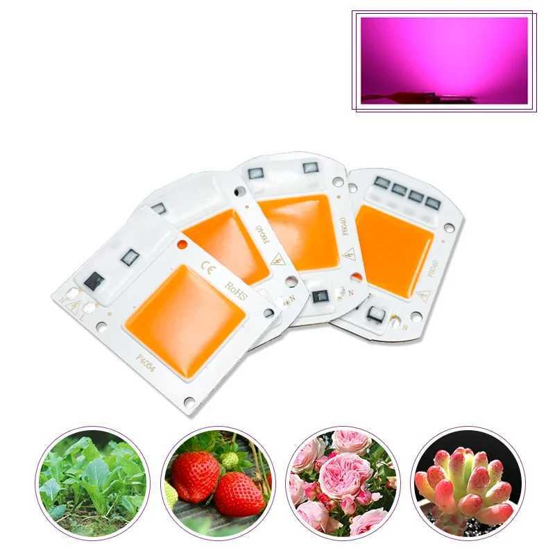 Hydroponics 110V 220V COB LED Grow Light Chip 10W 20W 30W 50W Full Spectrum Phyto Lamp for Indoor Plant Seedling Growth and FloweringXJ250526
