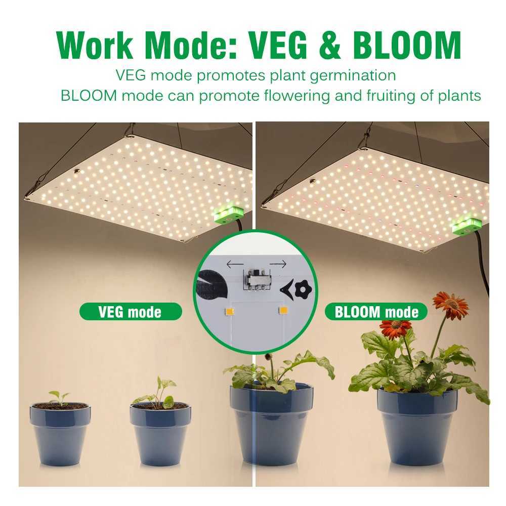 Quantum Full Spectrum Diode LED Grow Light LM281B Chip Phytolamp Growing Lighting for Indoor Plants Greenhouse TentXJ250526