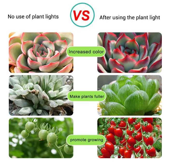 LED Grow Light Full Spectrum USB Grow Light Strip 0.5m 1m 2m 2835 Chip LED Phyto Lamp for Plants Flowers Greenhouse HydroponicXJ250526