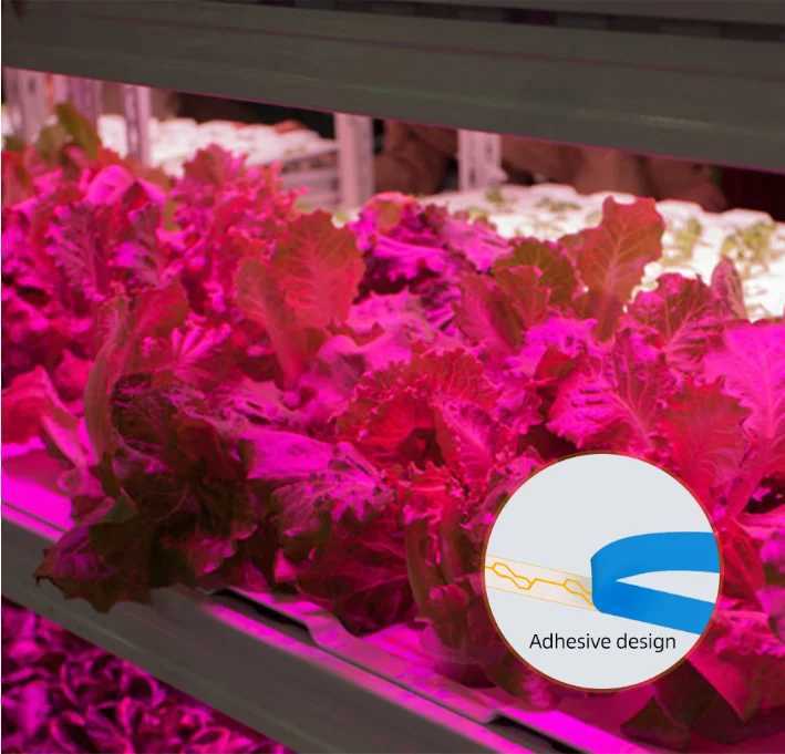 LED Grow Light Full Spectrum USB Grow Light Strip 0.5m 1m 2m 2835 Chip LED Phyto Lamp for Plants Flowers Greenhouse HydroponicXJ250526