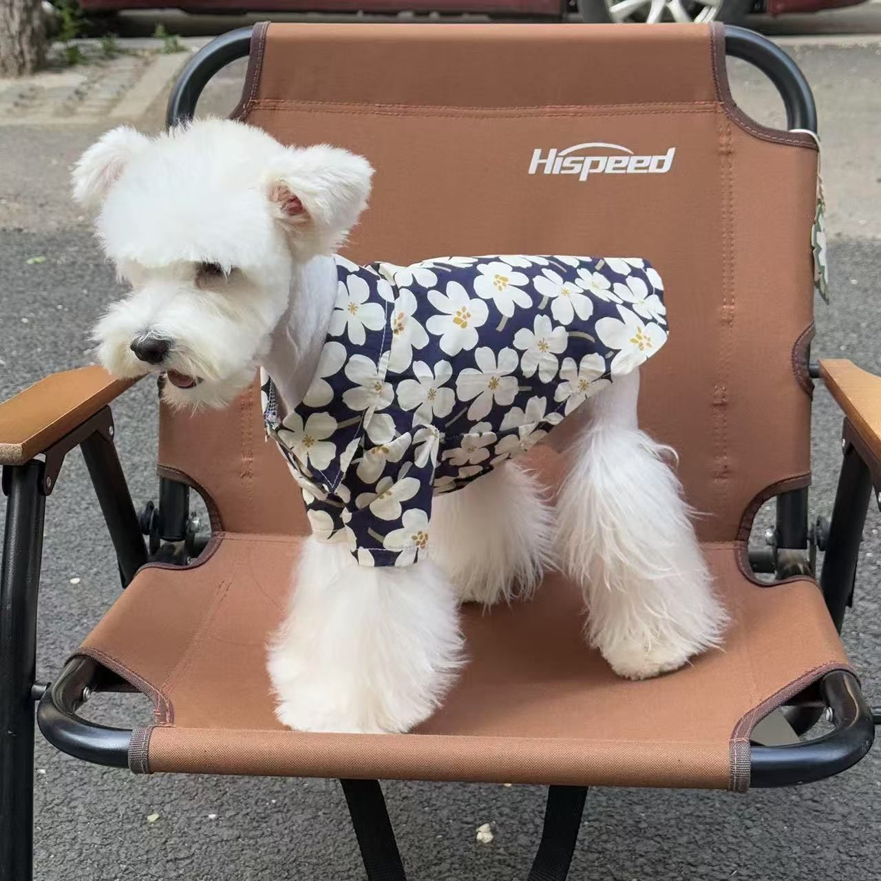 T00309 Dog clothes spring and summer pet cotton hooded sweatshirt for going out for small and medium-sized dogs Maltese Teddy Bichon Corgi