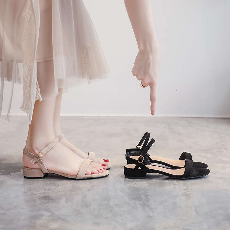 Sandals Summer 2025 New Fashion One-Strap Thick Low Heel Fairy Style Black Roman Women's Shoes