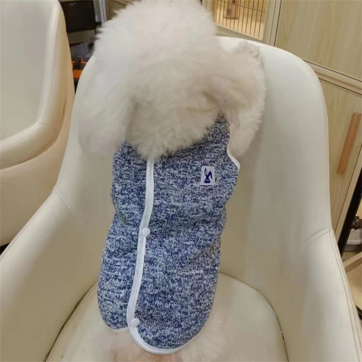 Pet clothing, knitted yarn, composite lamb wool vest