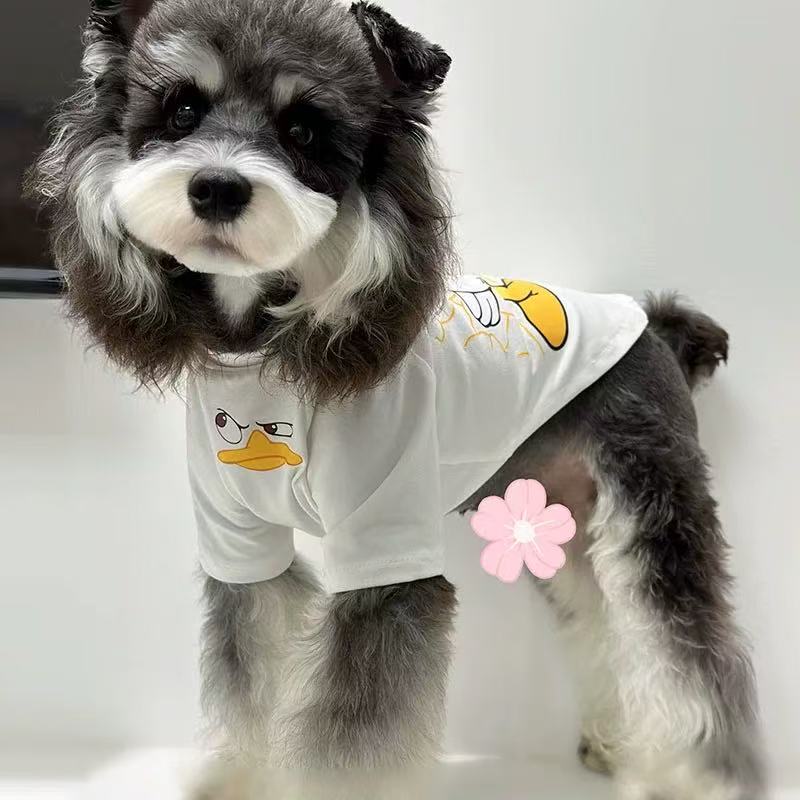 T00316 Dog Clothes Spring and Summer Cotton Pet Clothes Outing T-shirt Anti-shedding Printed Teddy Bichon Schnauzer Short Sleeve Clothes