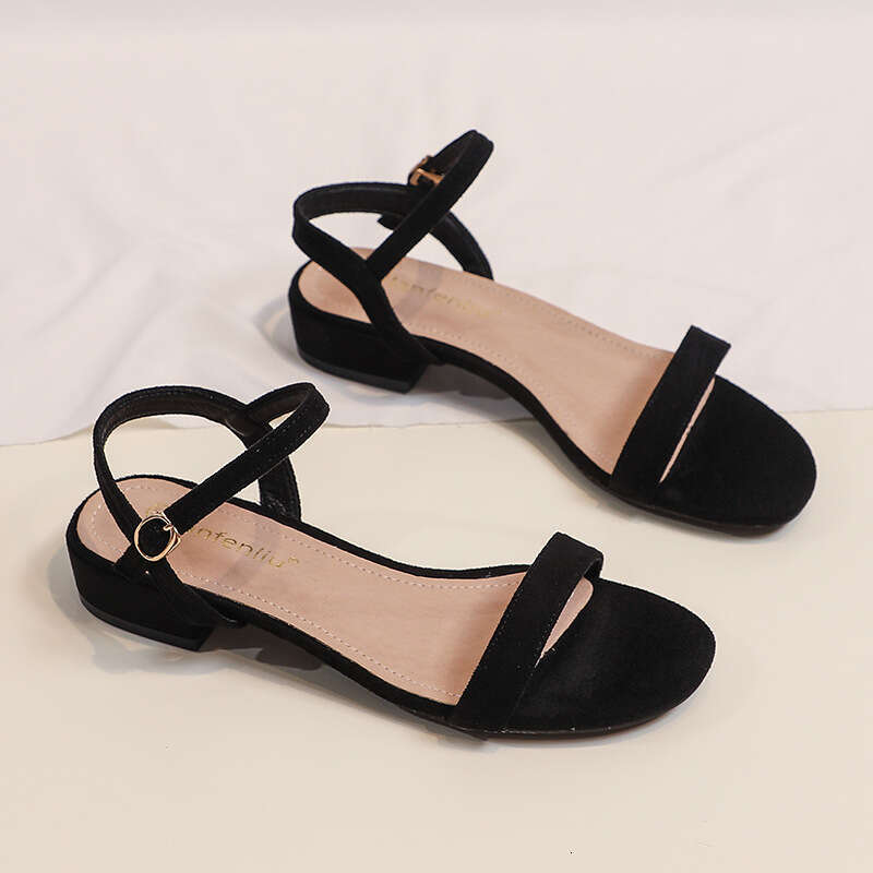 Sandals Summer 2025 New Fashion One-Strap Thick Low Heel Fairy Style Black Roman Women's Shoes