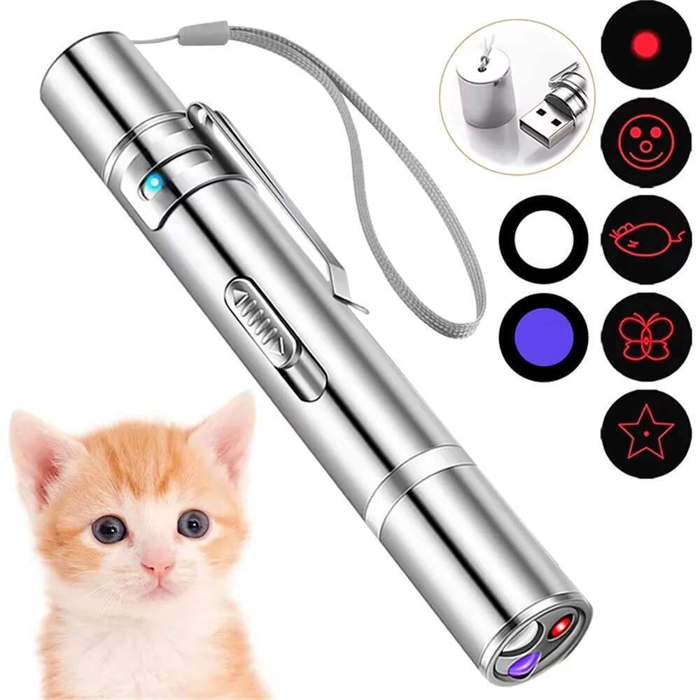 3-in-1 Multifunctional Flashlight: Lighting/Uv Money Detection/Cat Teaser Laser Toy, USB Rechargeable