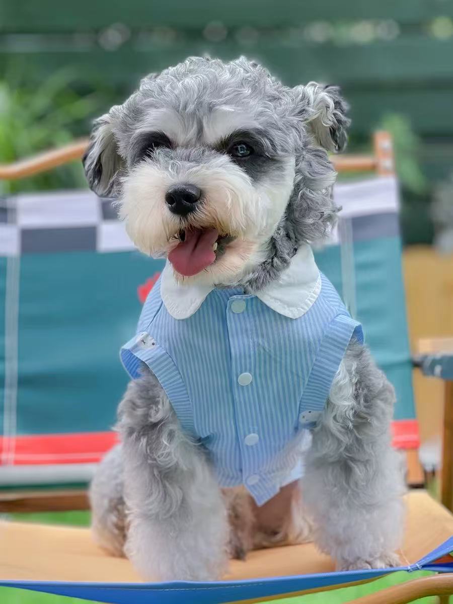 T00318 Cute cat and dog clothes summer sleeveless pet shirt Bichon Pomeranian Schnauzer small dog clothes thin section