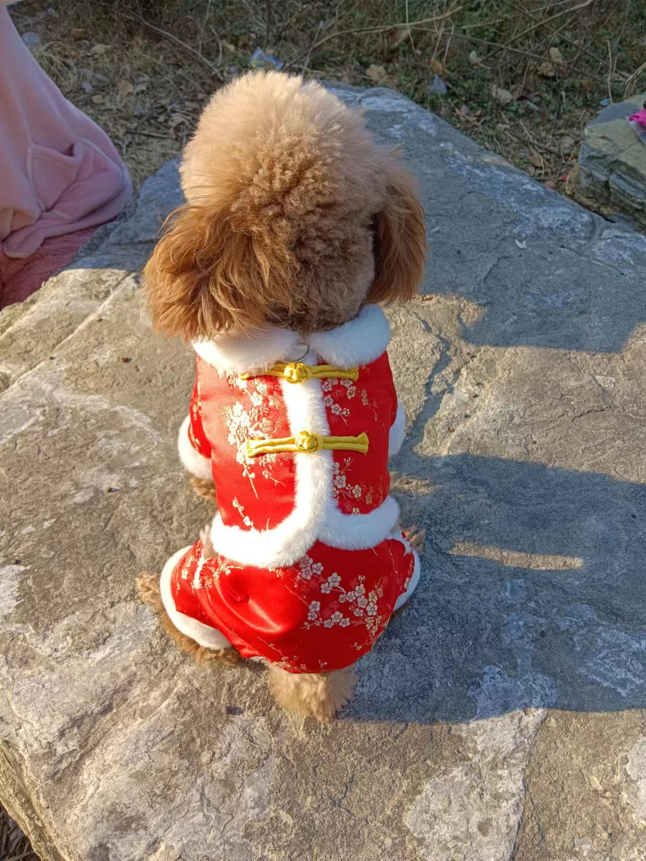 Pet clothing with one button Tang style ancient style