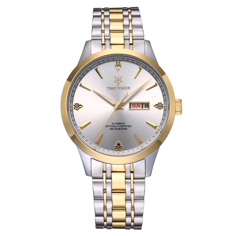 TIMETOKEN Mens Luxury Business Watch Classic Design, Auto-Mechanical Movement & Date Display
