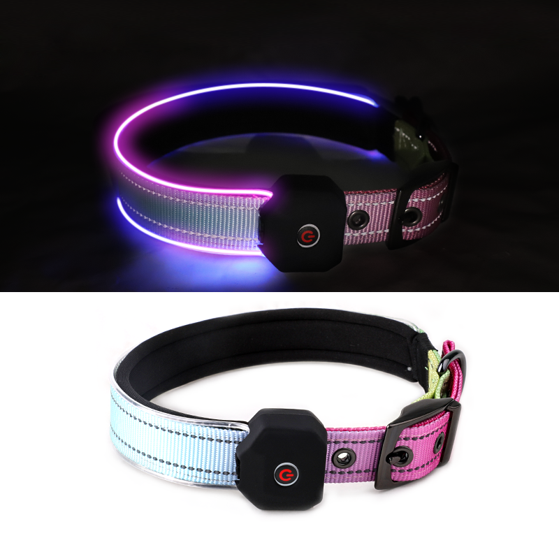 USB-Rechargeable Reflective Softlight LED Water Resistant Neoprene Dog Collar