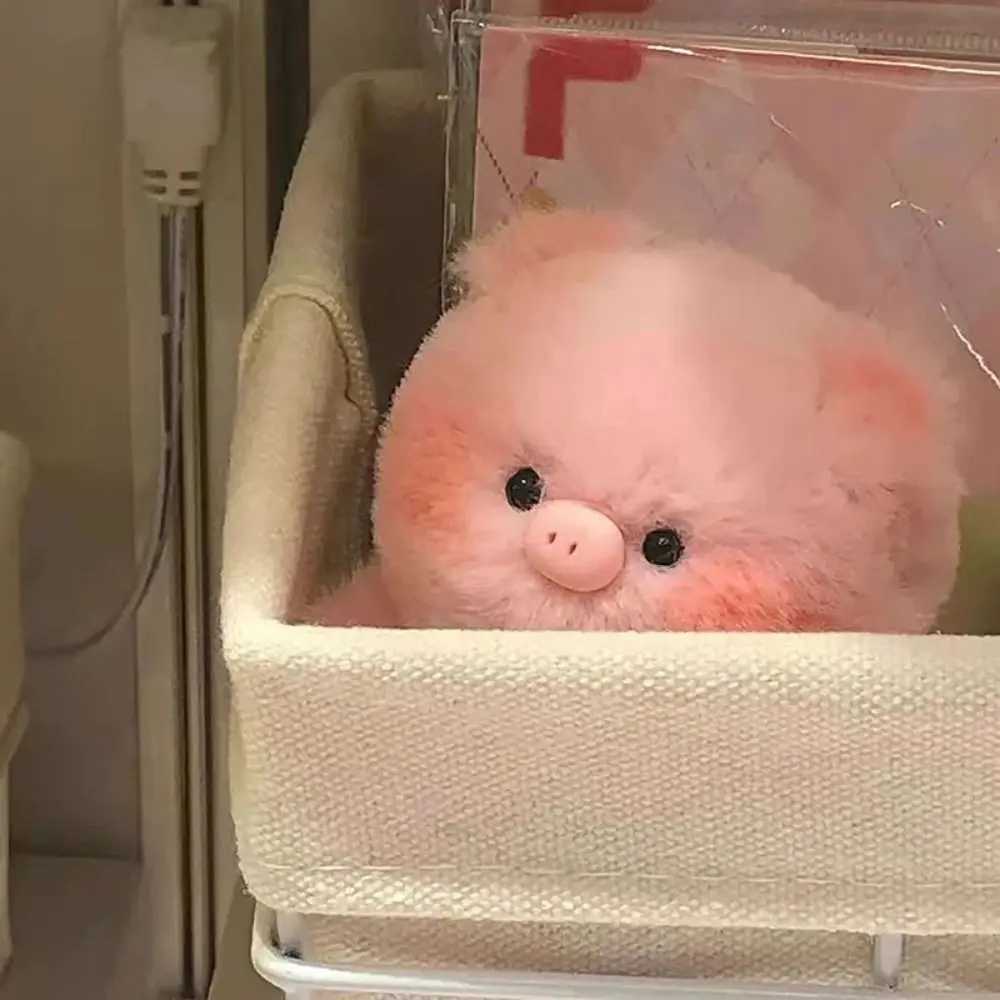 Small Pig Head Small Pig Head Plush Pendant Soft Plush PP Cotton Pig Head Bag Pendant Little Fresh Animal Keychain W250526