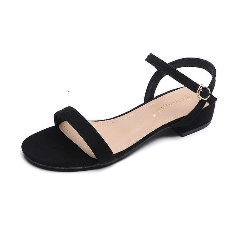 Sandals Summer 2025 New Fashion One-Strap Thick Low Heel Fairy Style Black Roman Women's Shoes