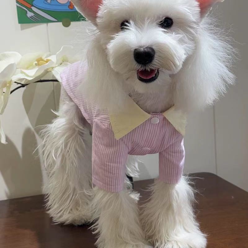 T00312 Dog Clothes Spring and Summer Thin Cotton Striped Pet Shirt Small Dog Anti-hair Loss Bichon Teddy Schnauzer Cat