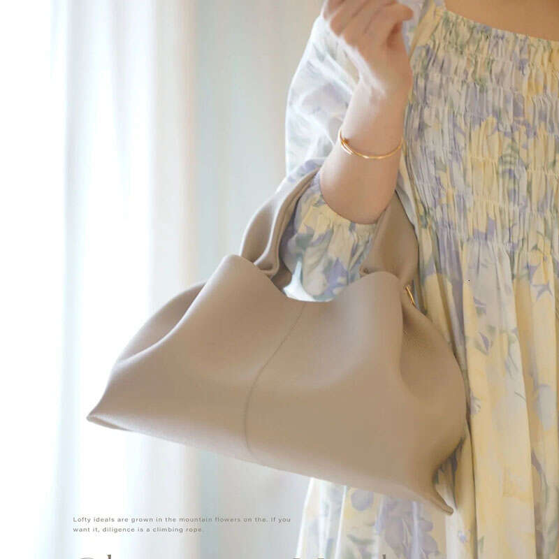 Niche Design Handbag New Single Shoulder Crossbody Dumpling High end Handheld Cloud Lunch Box Bag for Women