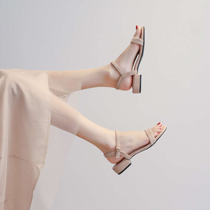 Sandals Summer 2025 New Fashion One-Strap Thick Low Heel Fairy Style Black Roman Women's Shoes