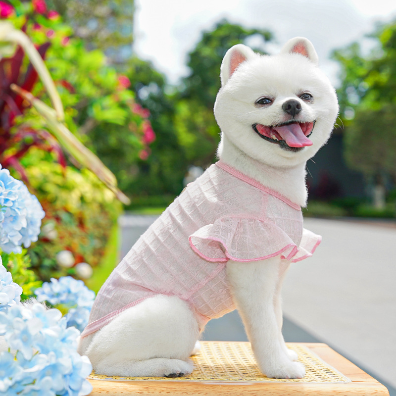 Cute Mesh Pet Dog Vest Breathable Hollow Cat Clothing Striped Thin Pet Cooling T Shirt for Puppy and Cat