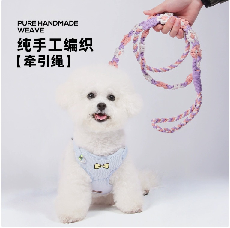 Charming DIY Canine Lead Crafted by Hands - Durable Multicolor Outdoors Companion