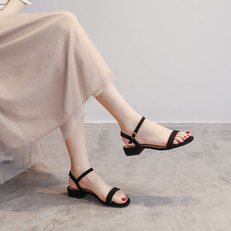 Sandals Summer 2025 New Fashion One-Strap Thick Low Heel Fairy Style Black Roman Women's Shoes