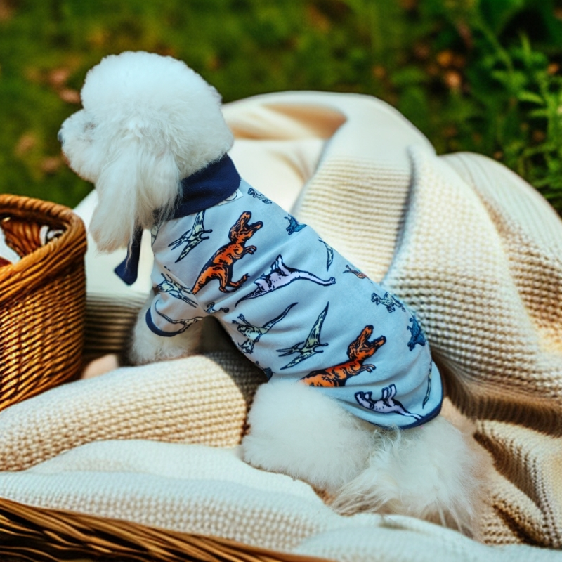Pet clothing cartoon pattern with scarf base shirt