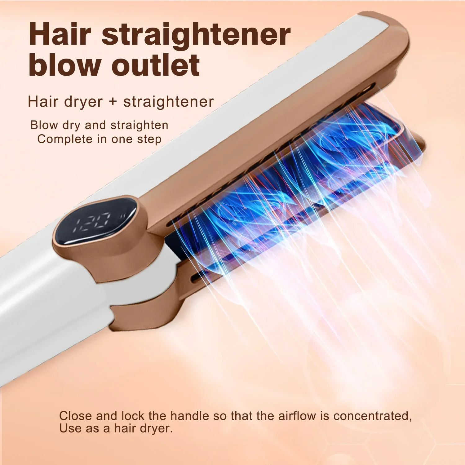 2in1 LCD Display Hair Straightener and Dryer Heat-Up Flat Iron Straightener Dry and Wet Dual-purpose Straight Air Flow Blower 250522