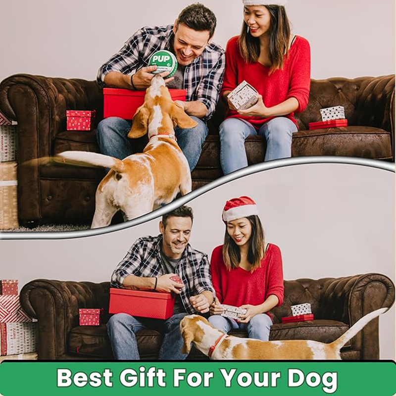 PUP Pouch Dog Toy, Squeaking Dog Plush Toy for Small, Medium, and Large Dogs, Funny Pet Chews Plaything for All Breeds, Cool Stuffed Parody Dog Toys E