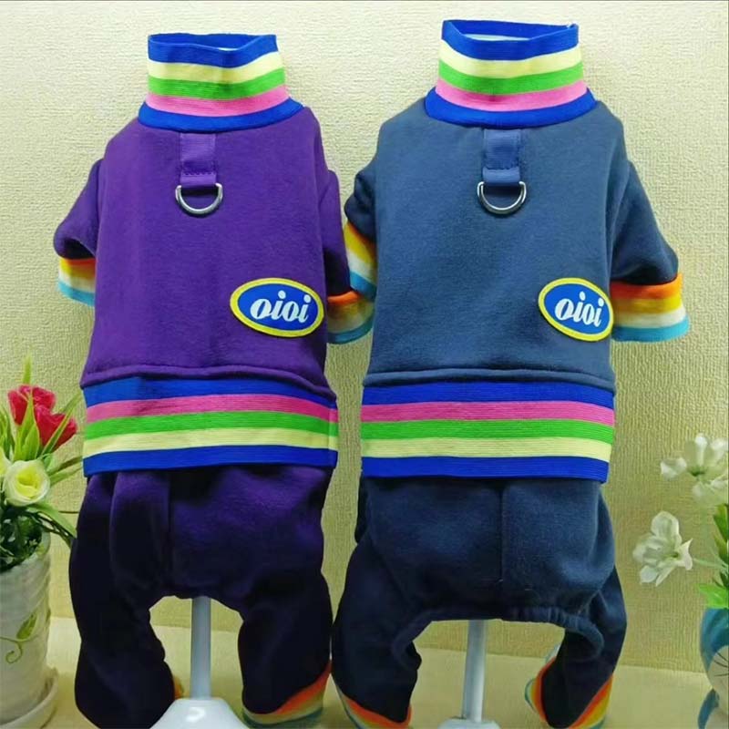 Pet clothing with colored stripes pulling four legged clothes