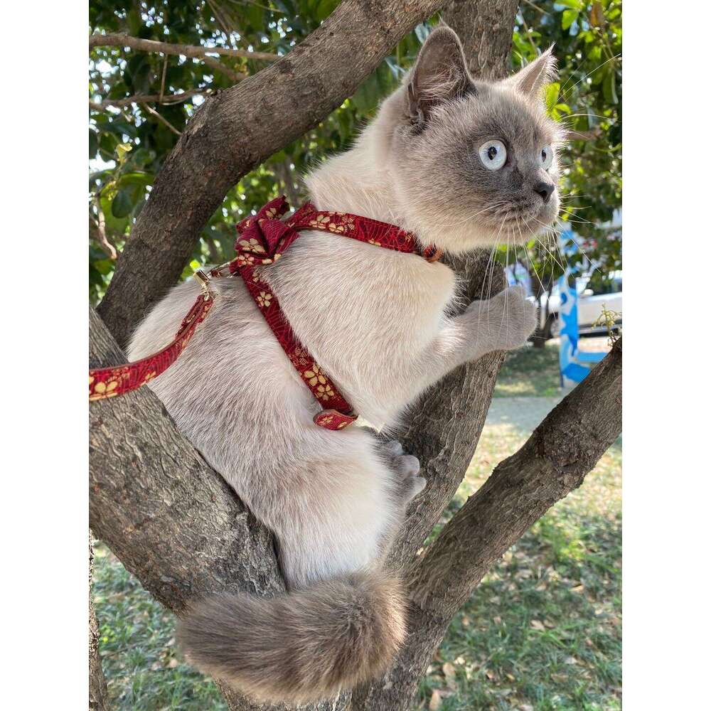 Pet Collar Dog Collar Cat Collar Traction Rope New K-Shaped Cat Dog Pet Harness Leash Set H-Shaped Pet Traction Rope