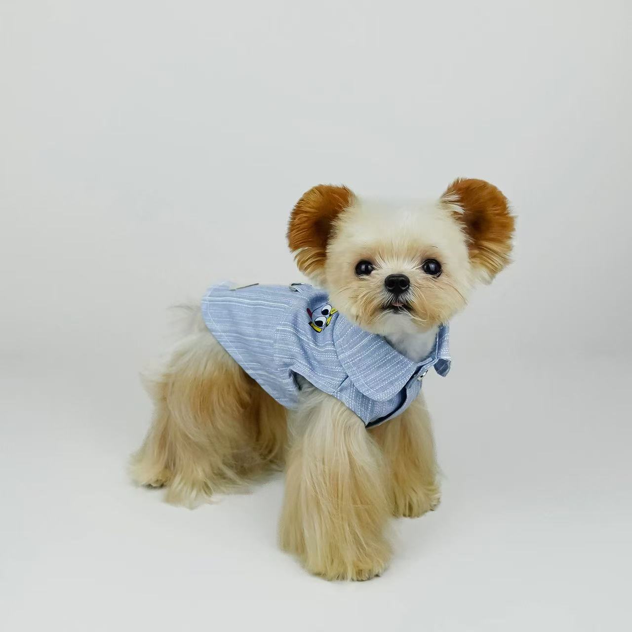 T00324 Pet clothes spring and autumn hooded sweatshirt contrast color hoodie Yorkshire Maltese handsome new clothes