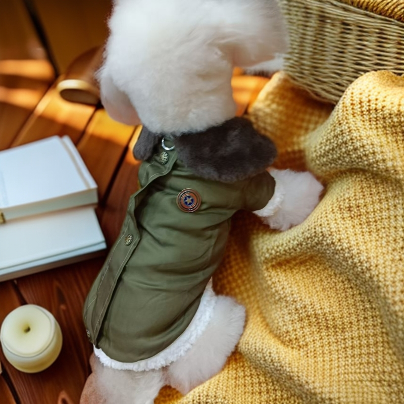 Pet clothing, military coat, two legged coat