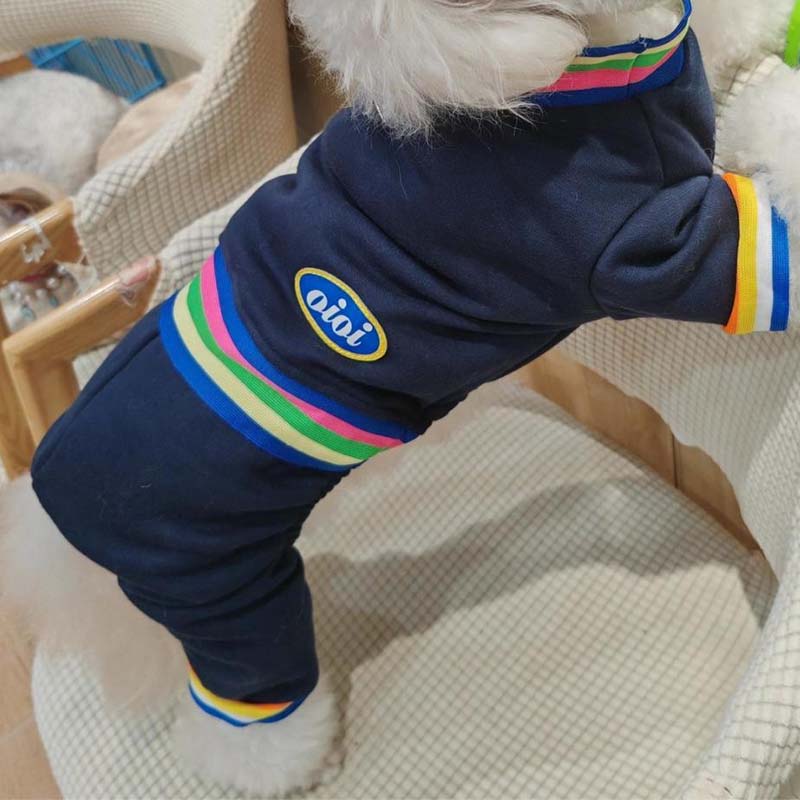 Pet clothing with colored stripes pulling four legged clothes
