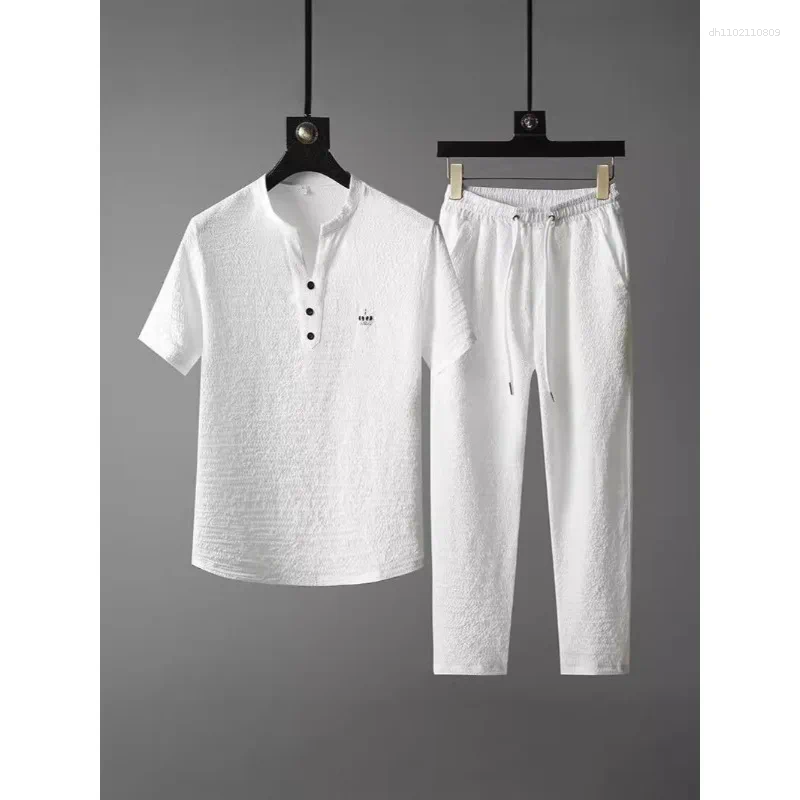 Men's Tracksuits Thin Casual Sports Suit For Men In Summer Chinese Style High-end V-neck Embroidered Slim Short-sleeved Two-piece Set