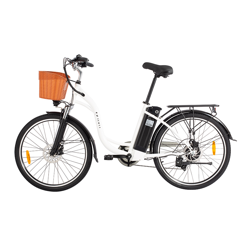 DYU C6 26 Inch E-City bike Women's Electric Bicycle 250W 36V/12.5AH Pedelec E-Bike for Adults 25km/h