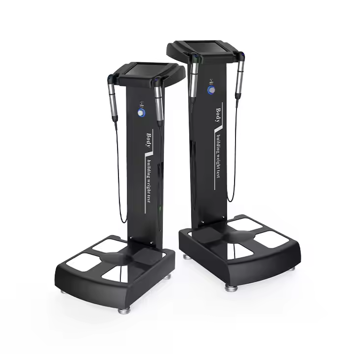 Professional Full Body Health Fat Composition Analyzer for Gym Use