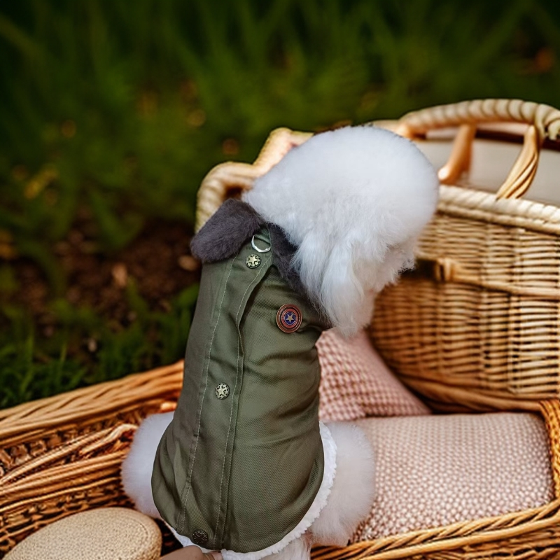 Pet clothing, military coat, two legged coat