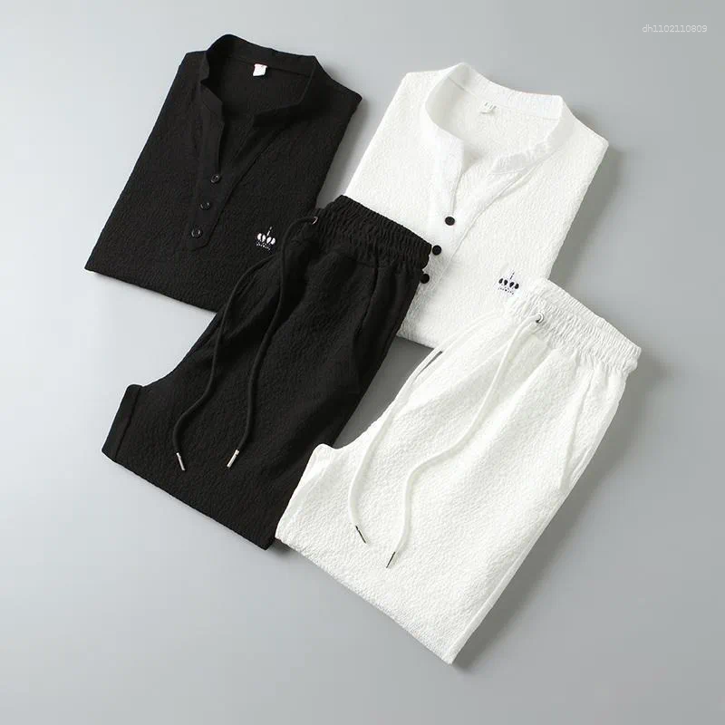 Men's Tracksuits Thin Casual Sports Suit For Men In Summer Chinese Style High-end V-neck Embroidered Slim Short-sleeved Two-piece Set