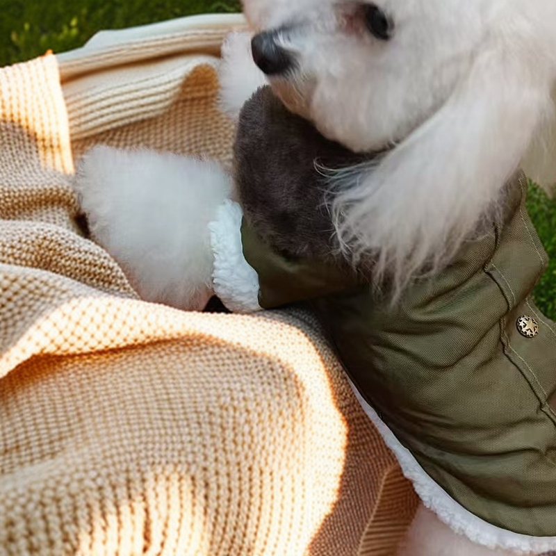 Pet clothing, military coat, two legged coat