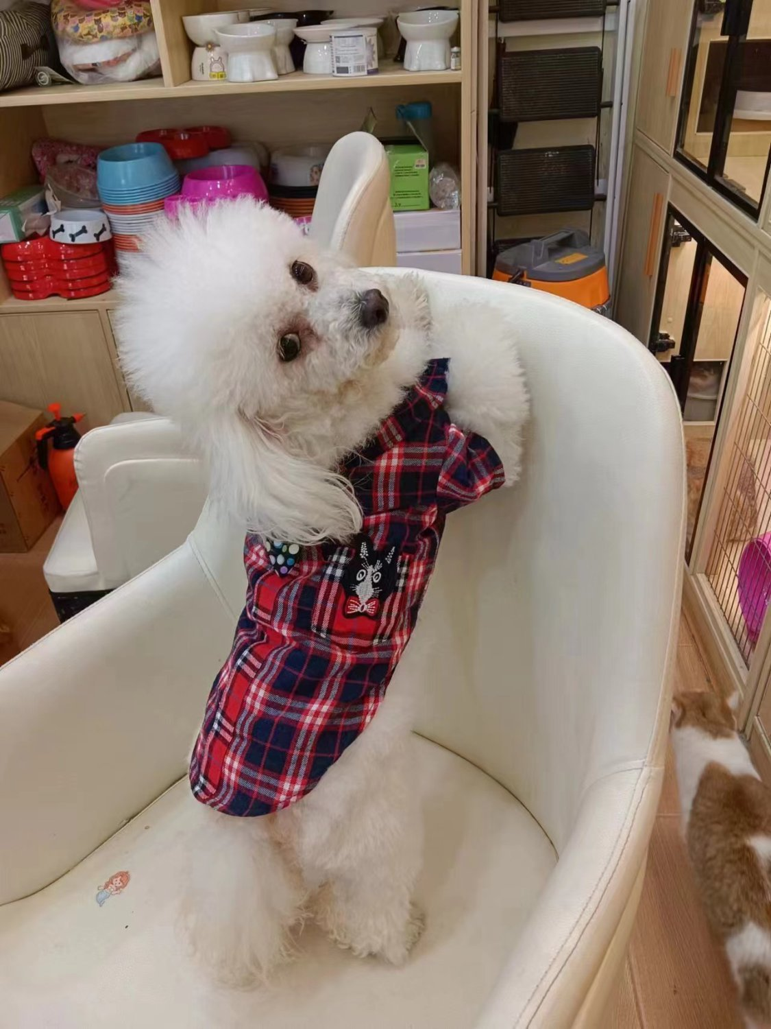 Pet clothing, checkered bow tie shirt, fashionable trend