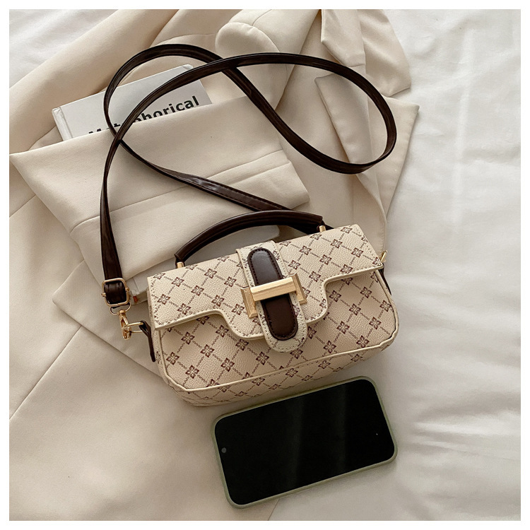 Luxury Brand Designer Bag High End Chain For Women 2025 New Style, Niche High-End Small Square Bag, Commuting Hand-Held Crossbody Bag