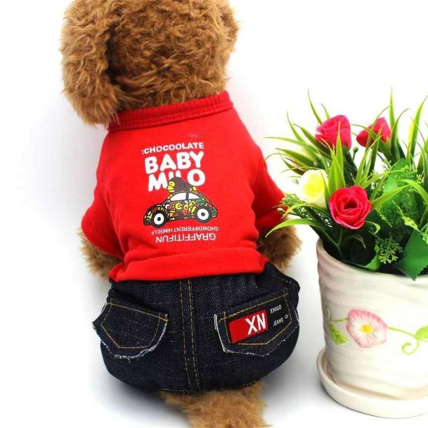 Monkey Driving Printed Four Legged Clothes