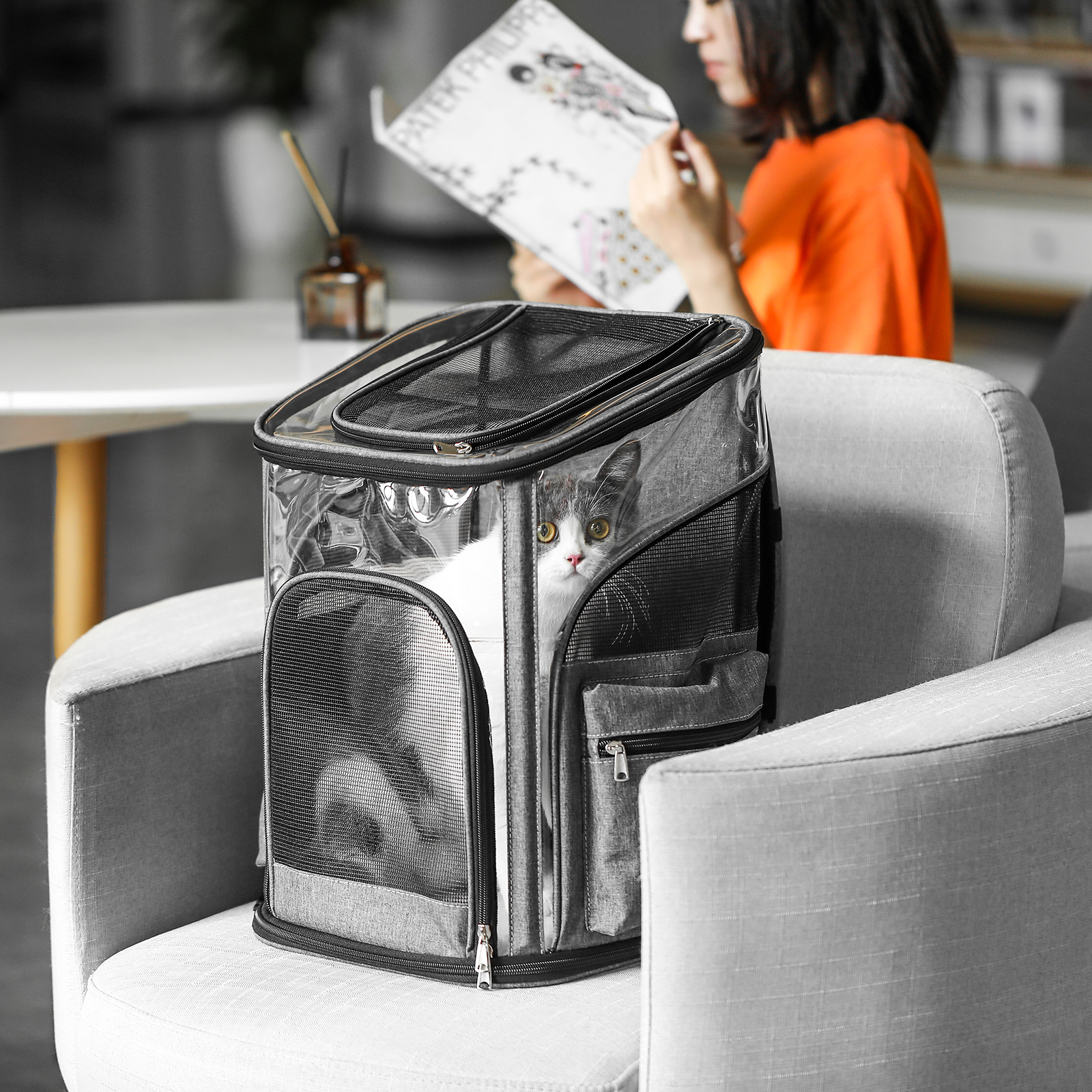 Pet Carrier Backpack with Sturdy Steel Frame for Easy Travel & Comfort