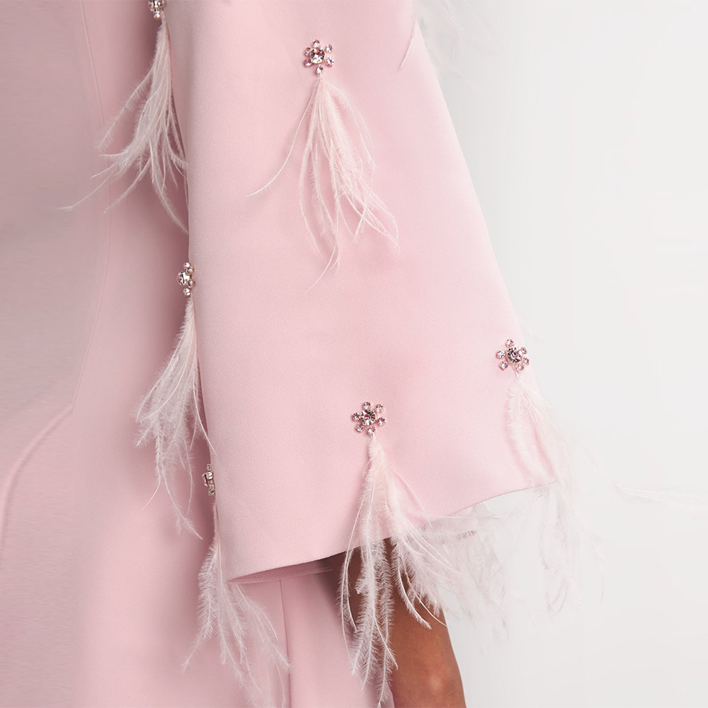 Simple Pink Party Gown Sheath Beaded Crystal Evening Dresses Feather Long Sleeves Prom Gown for Africa Women